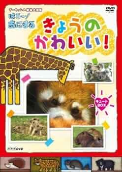 (未使用･未開封品)　はろ~!あにまる 動物大図鑑 DVD-BOX og8985z Amazon.co.jp: NHK DVD ダーウィンの動物大図鑑 はろ~あにまる